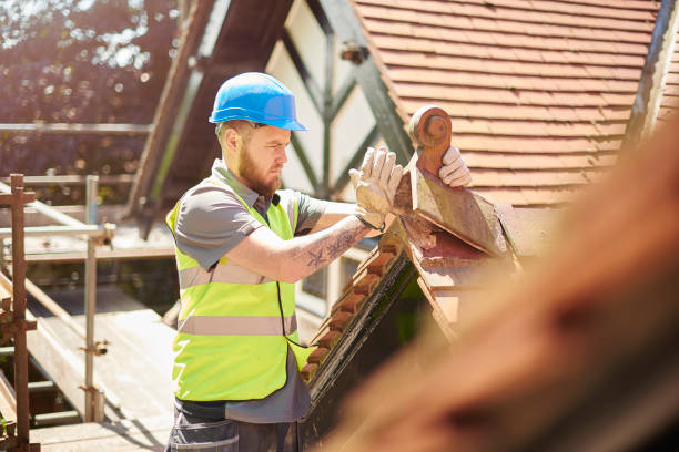 Best Roof Gutter Cleaning  in Port Oconnor, TX
